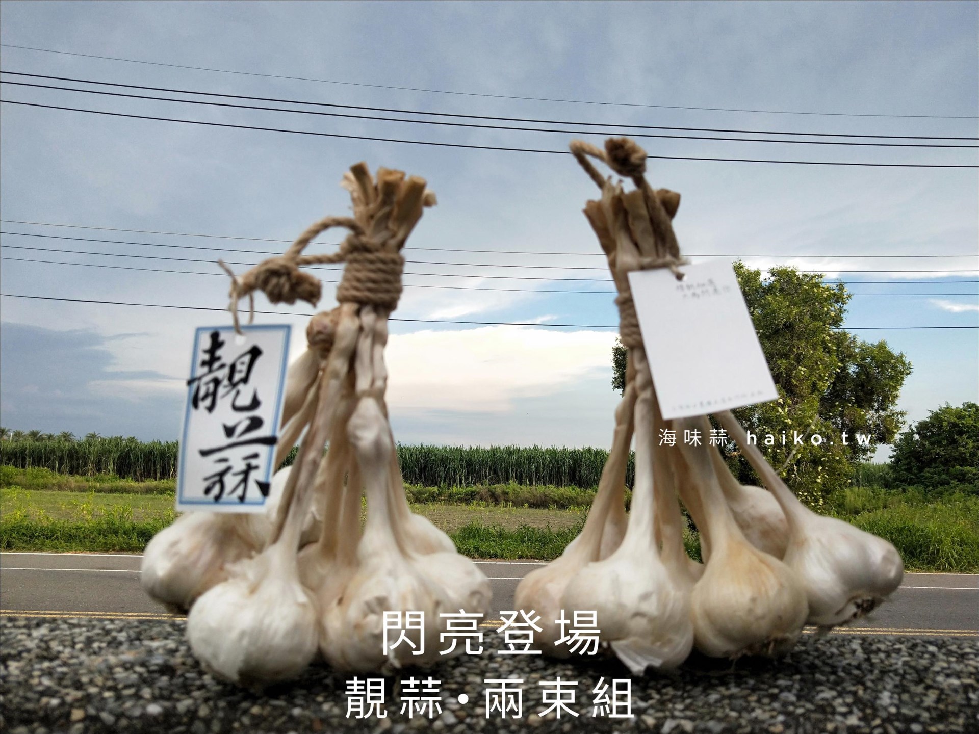 雲林蒜頭