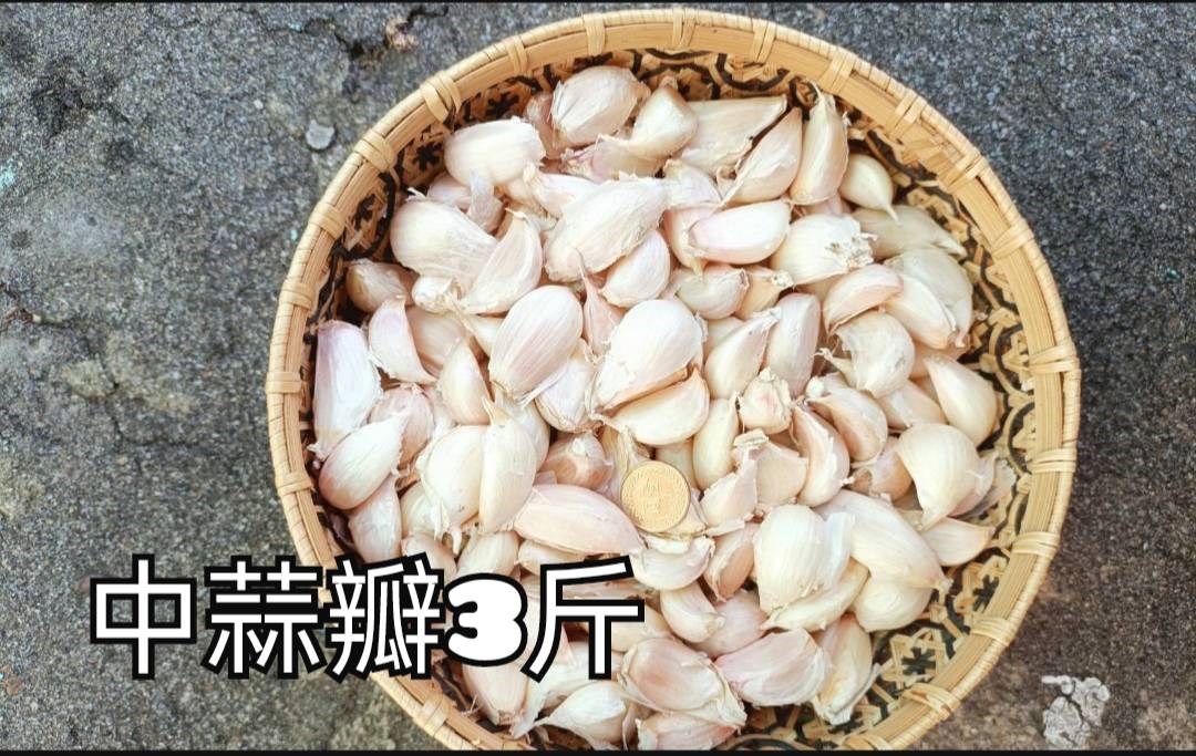 蒜瓣