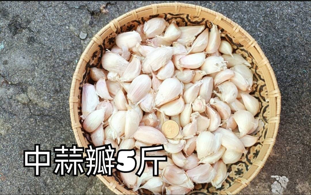 蒜瓣