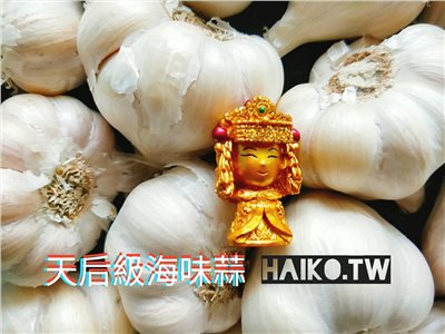 乾蒜球女王級